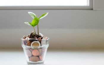a plant on a pot filled with coins